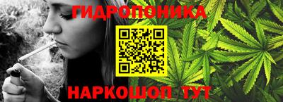 ECSTASY Гусь-Хрустальный